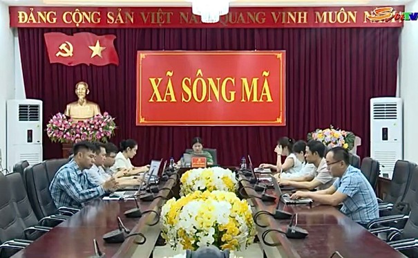 anh tin bai